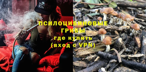 не бодяженный Алексин
