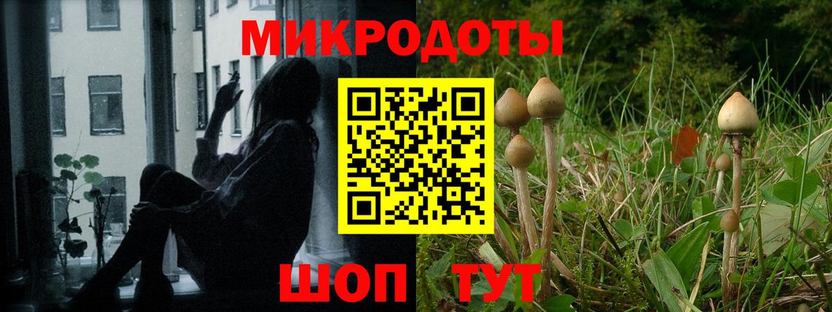 Галлюциногенные грибы Psilocybe  Вход с VPN  Кизляр  Псилоцибиновые грибы мицелий 